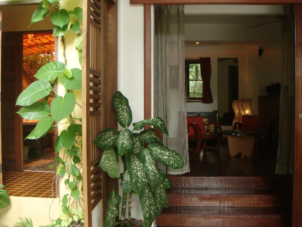 La Cigale 4* Ko Tao